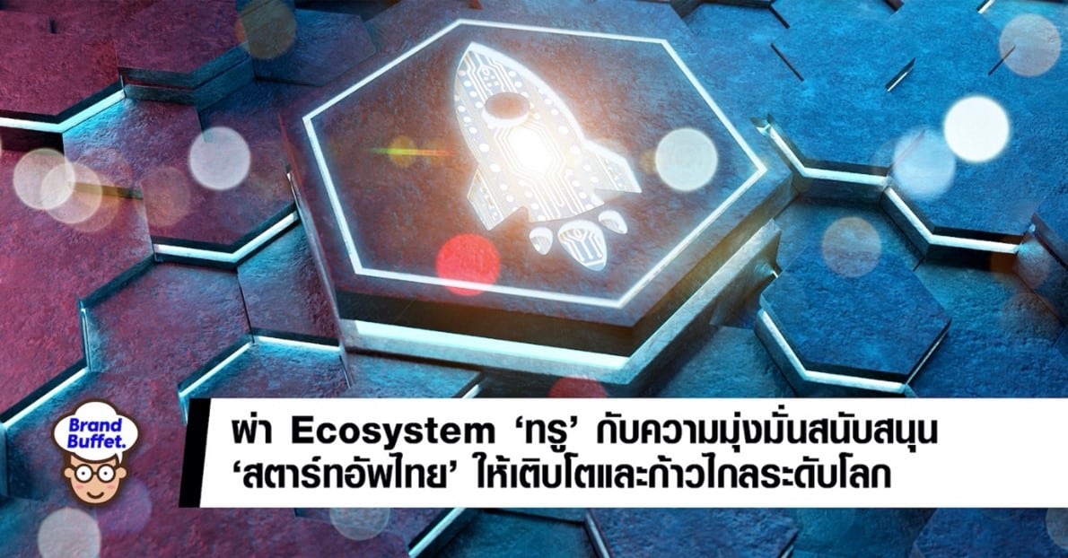 ผ่า Ecosystem “ทรู” กับความมุ่งมั่นสนับสนุน “สตาร์ทอัพไทย” ให้เติบโตและ ...