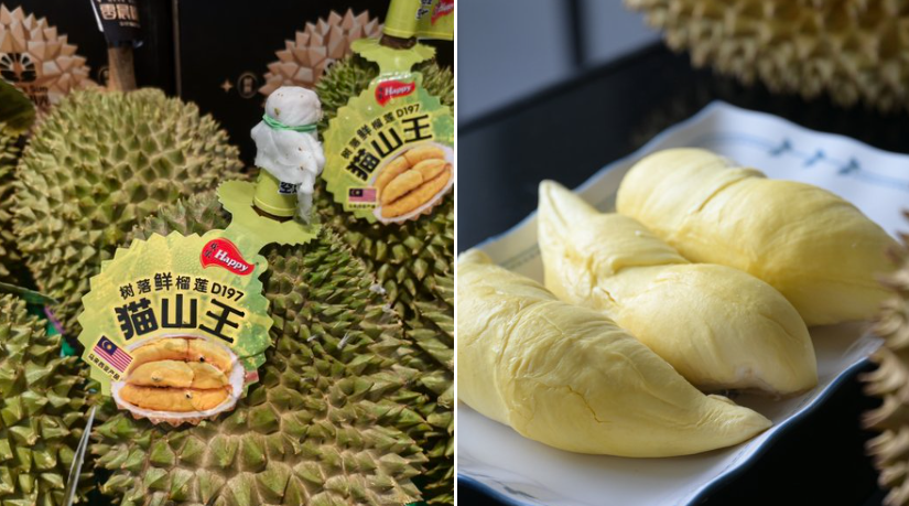 musang king malaysia durian